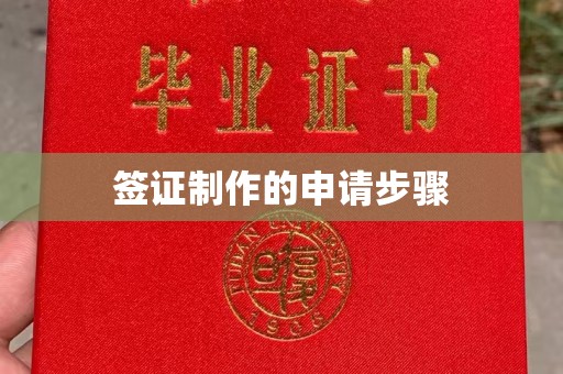 台州签证制作的申请步骤