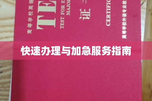 台州快速办理与加急服务指南