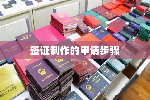 台州签证制作的申请步骤