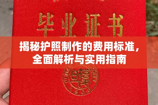 台州揭秘护照制作的费用标准，全面解析与实用指南